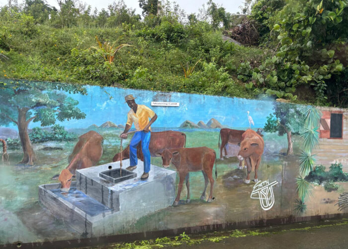 Isole Vergini Britanniche: il lusso selvaggio dei Caraibi 6 Murales a Fahie Hill 2