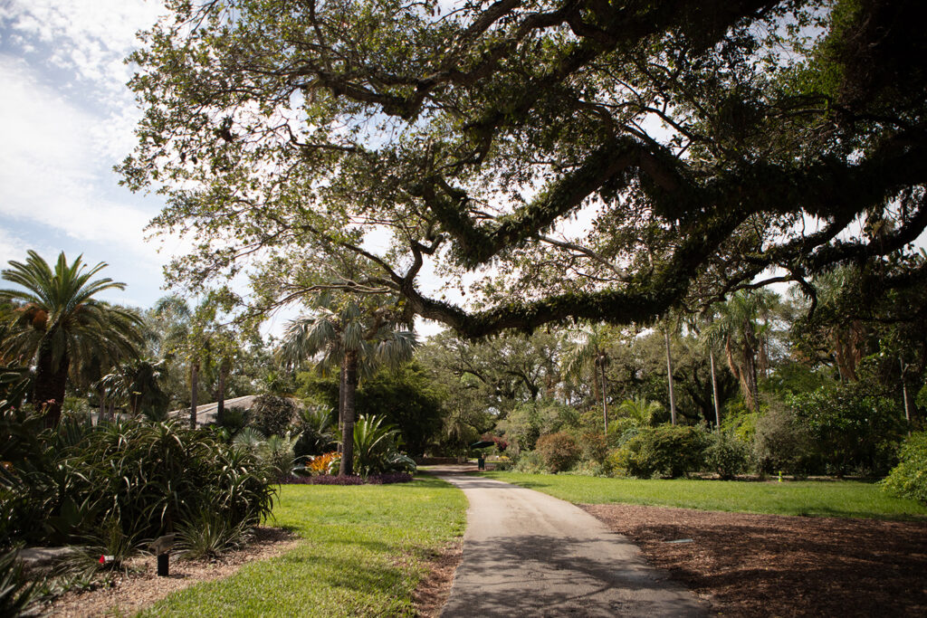 Coral Gables Fairchild Tropical Botanic Garden 20180514 244