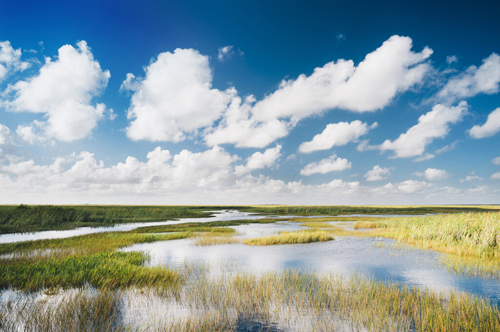 Everglades National Park​