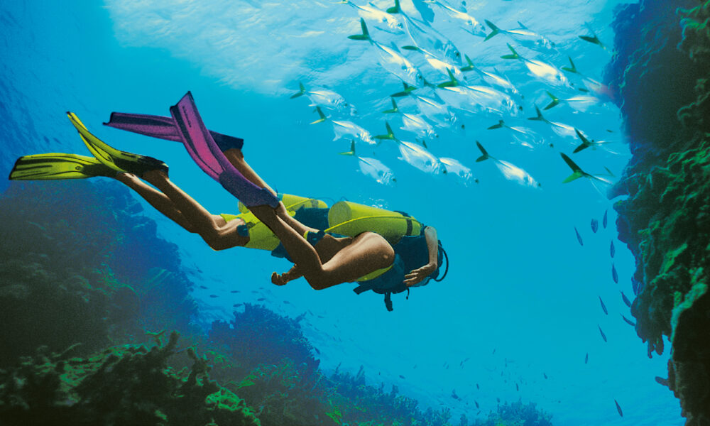 Antigua, l'isola che insegna al colore la felicità 1 MOBAY Deep Divers