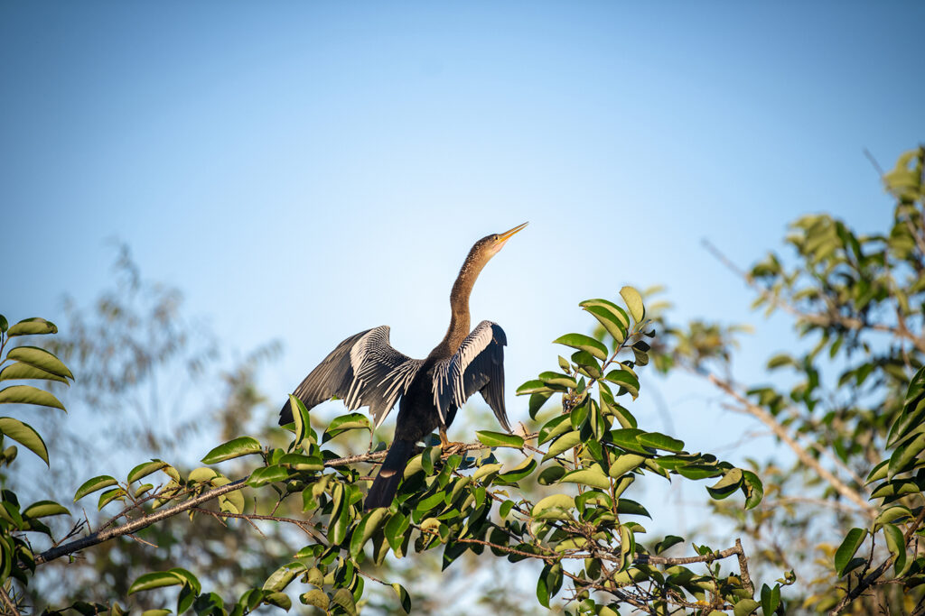 Everglades National Park​