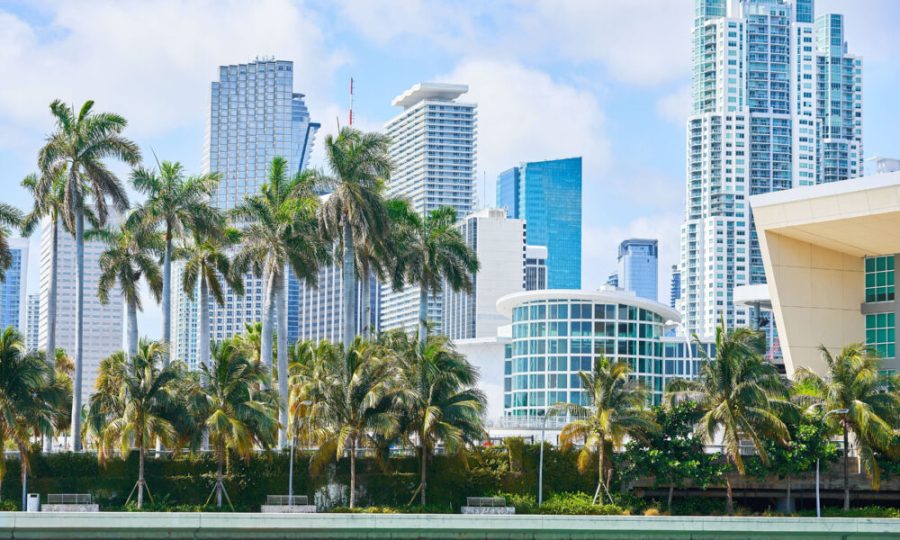 Miami è femmina