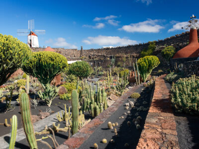 Jardin general 01_© CACT Lanzarote