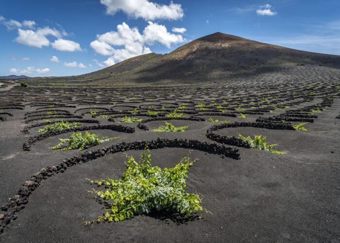 La Geria © Turismo Lanzarote