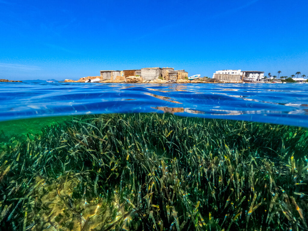 Formentera Estany des Peix