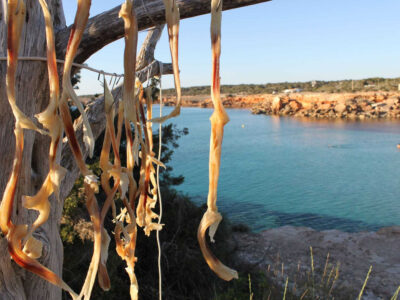 Pesce essiccato, Formentera